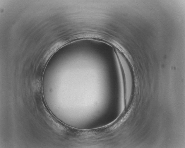 X0000060770993200511241749