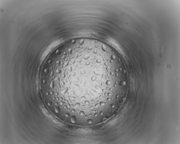 X0000060770994200511241749