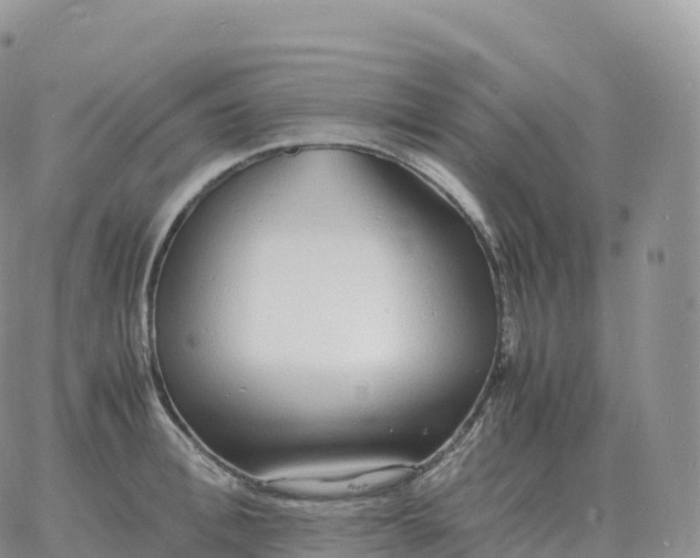 X0000060770996200511241749