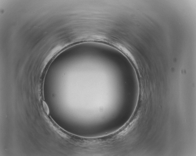 X0000060770997200511241749