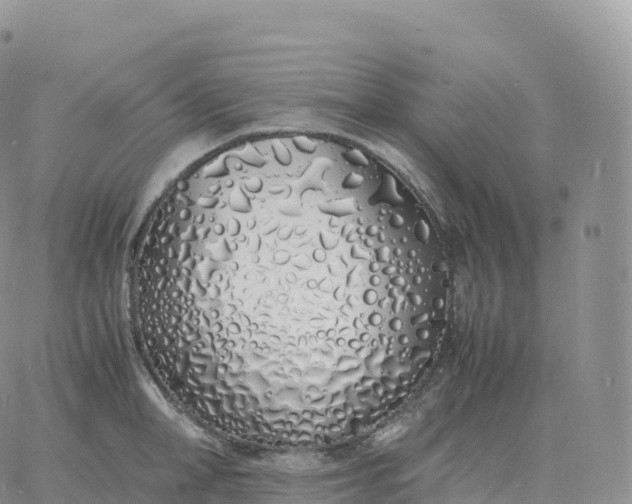 X0000060770998200511241749