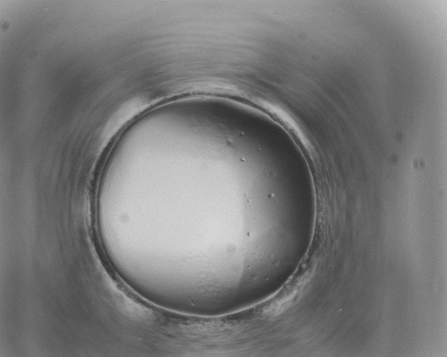 X0000060770999200511241749