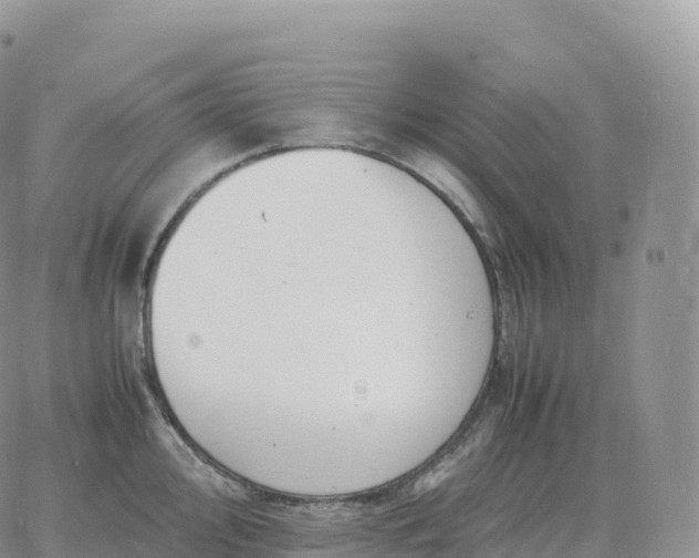 X0000060771000200511241749