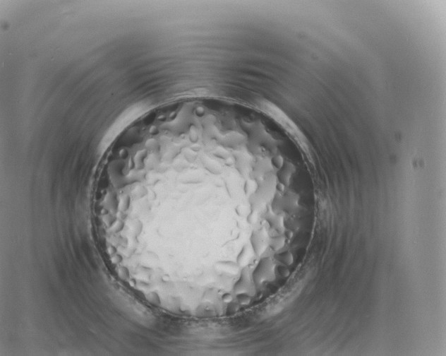 X0000060771002200511241749