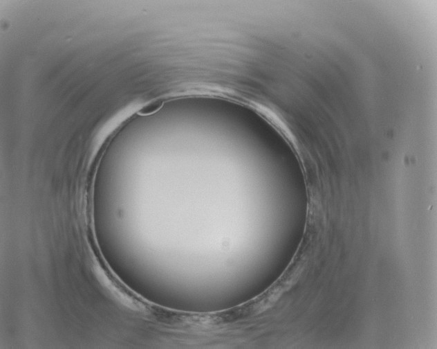 X0000060771003200511241749