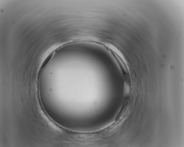 X0000060771005200511241749