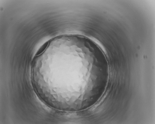 X0000060771006200511241749