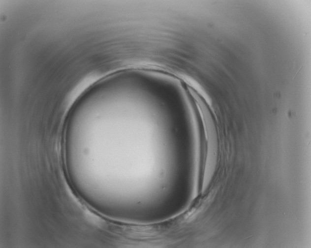 X0000060771007200511241749