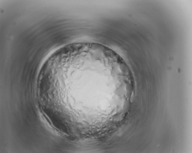 X0000060771008200511241749