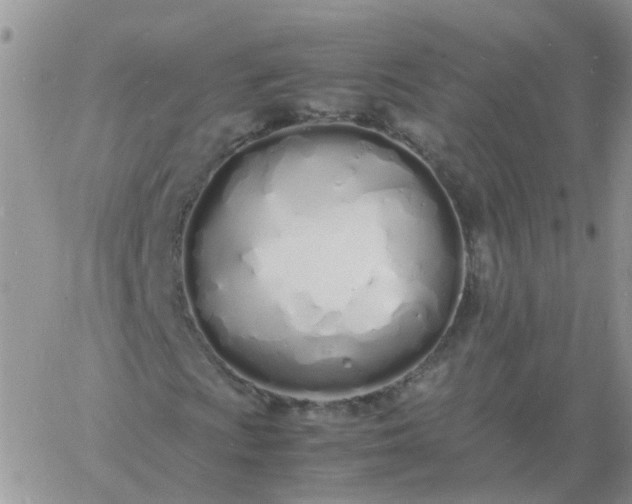 X0000060771009200511241748