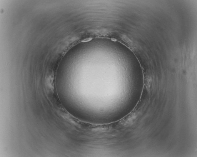 X0000060771010200511241748