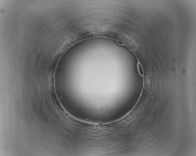 X0000060771012200511241748