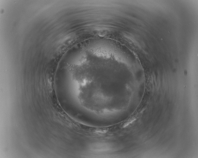 X0000060771013200511241748