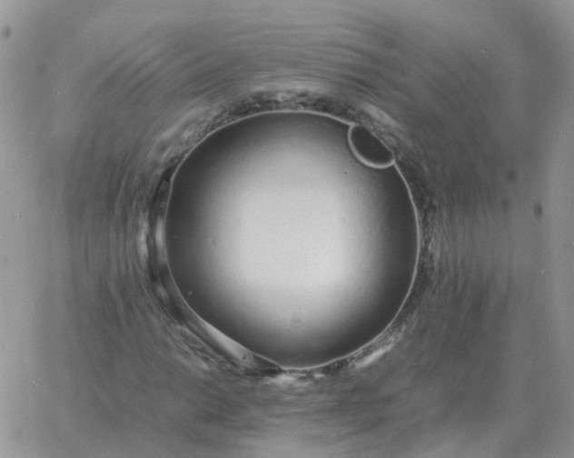 X0000060771014200511241748