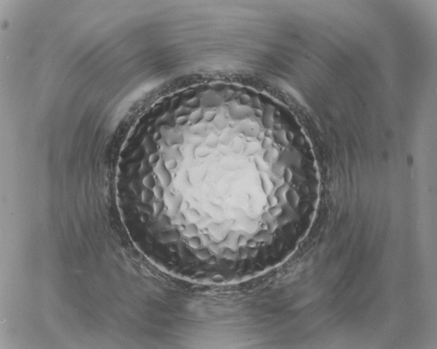 X0000060771016200511241748