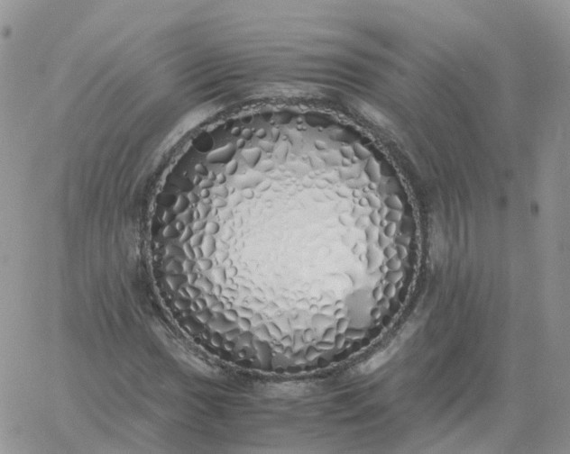 X0000060771017200511241748