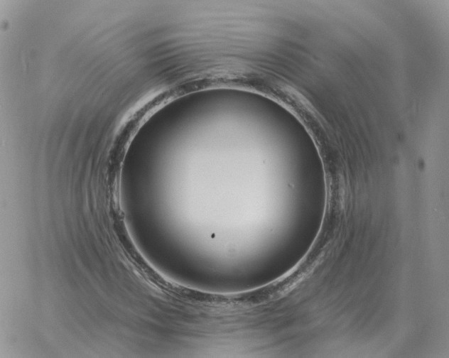 X0000060771018200511241748