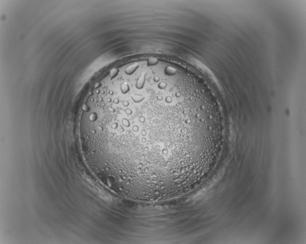 X0000060771019200511241748