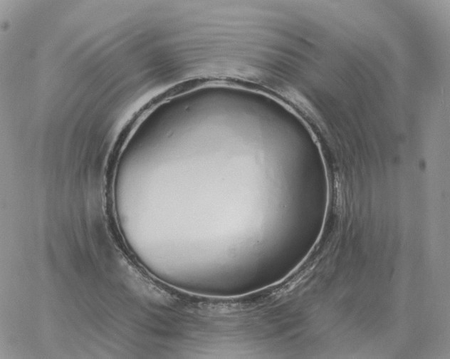 X0000060771020200511241748