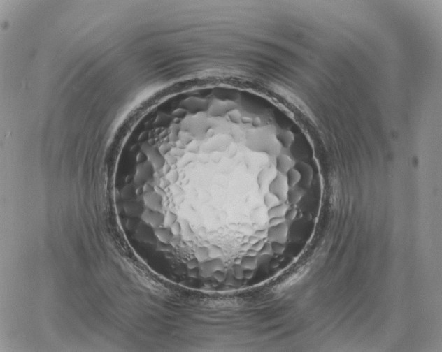 X0000060771021200511241748