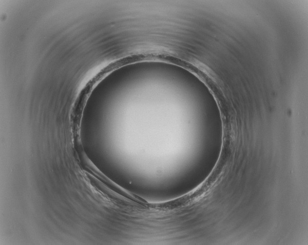 X0000060771022200511241748