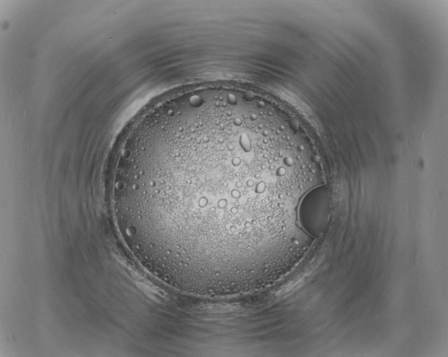 X0000060771023200511241748