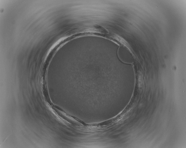 X0000060771024200511241748