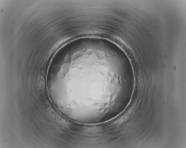 X0000060771025200511241748