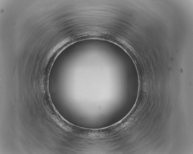 X0000060771026200511241748