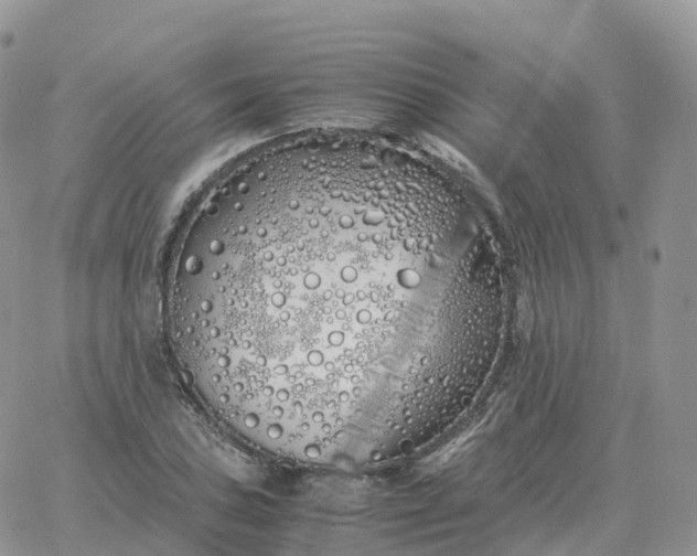 X0000060771027200511241748