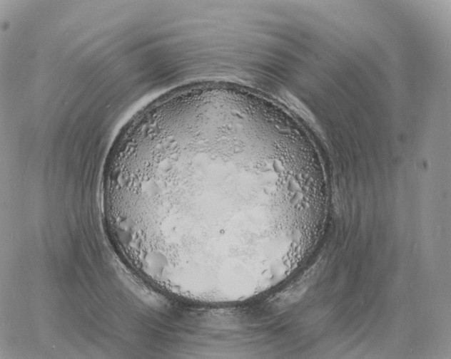 X0000060771028200511241748