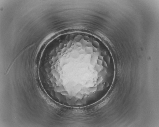 X0000060771029200511241748