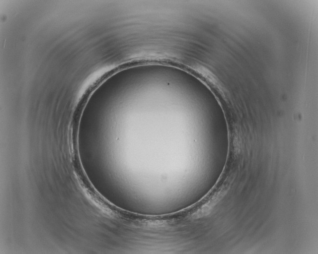 X0000060771030200511241748