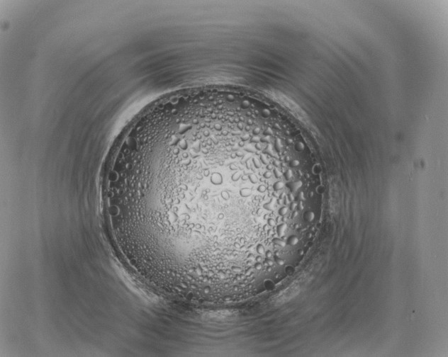 X0000060771031200511241748