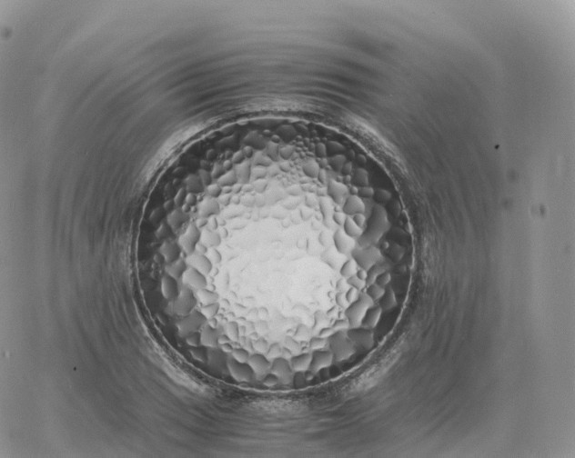 X0000060771033200511241748