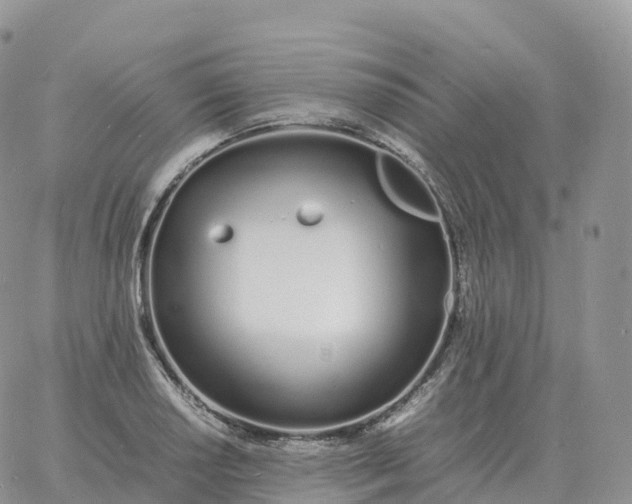 X0000060771034200511241748