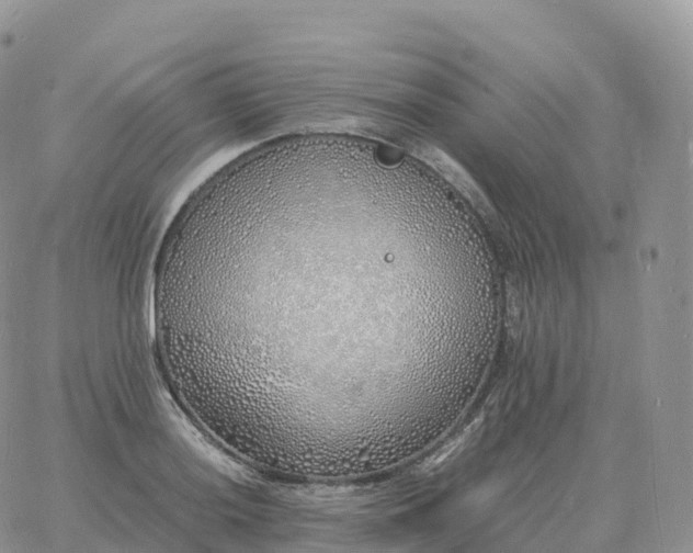 X0000060771036200511241748