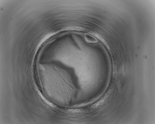 X0000060771037200511241748