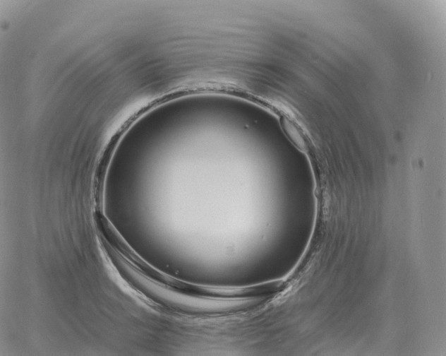 X0000060771038200511241748