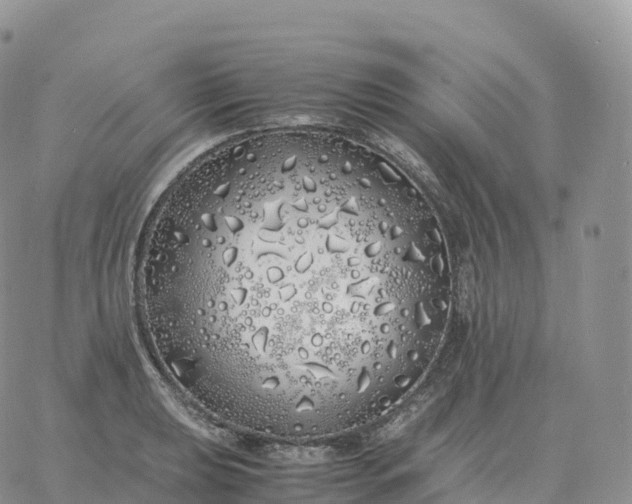 X0000060771039200511241748