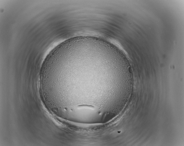 X0000060771040200511241748