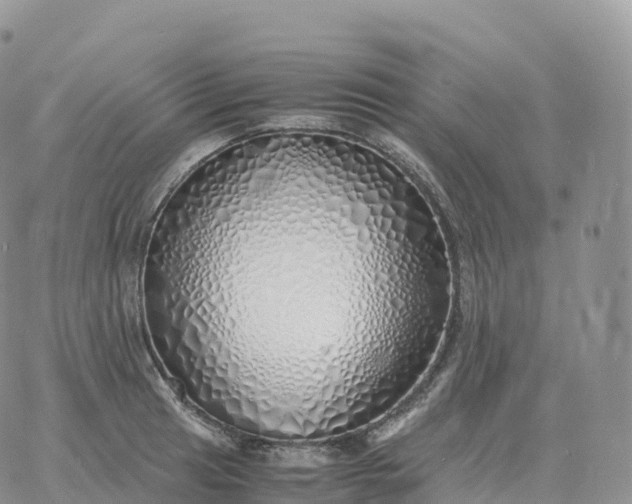 X0000060771041200511241748