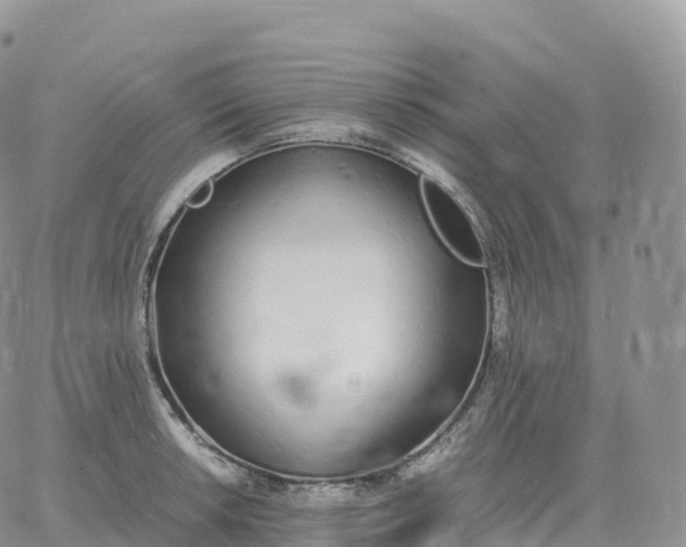 X0000060771042200511241749