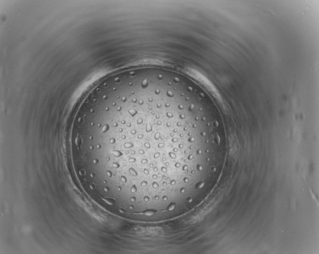 X0000060771043200511241749