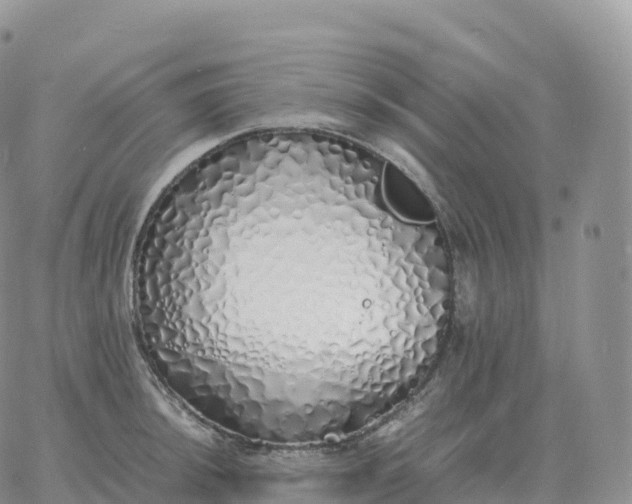 X0000060771044200511241749