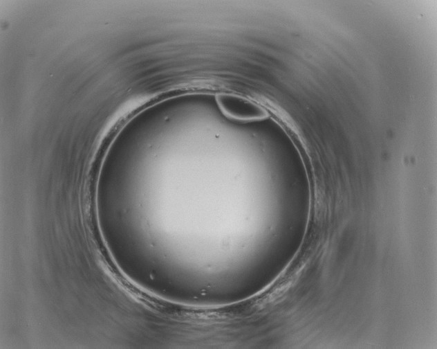 X0000060771045200511241749