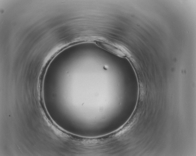 X0000060771046200511241749