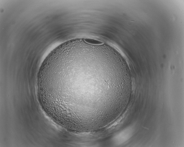 X0000060771048200511241749