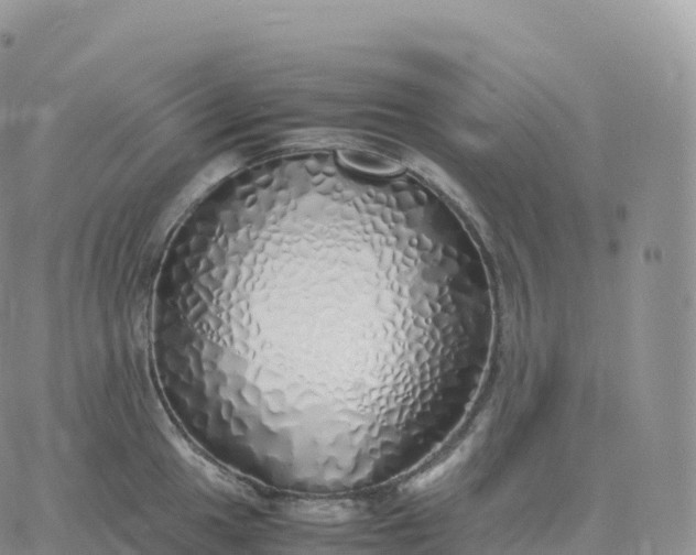 X0000060771049200511241749