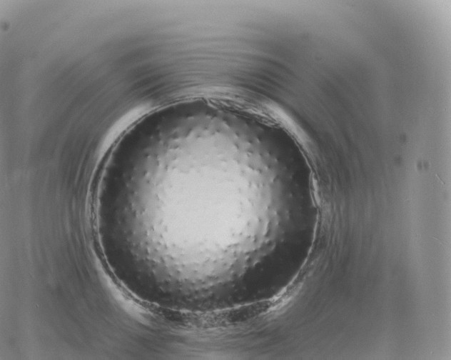 X0000060771050200511241749